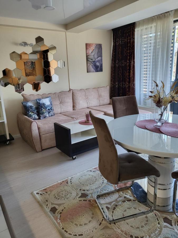Studio Apartamentai Palangos Centre 帕兰加 外观 照片